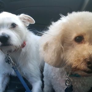 Meet your Posher, Maureen